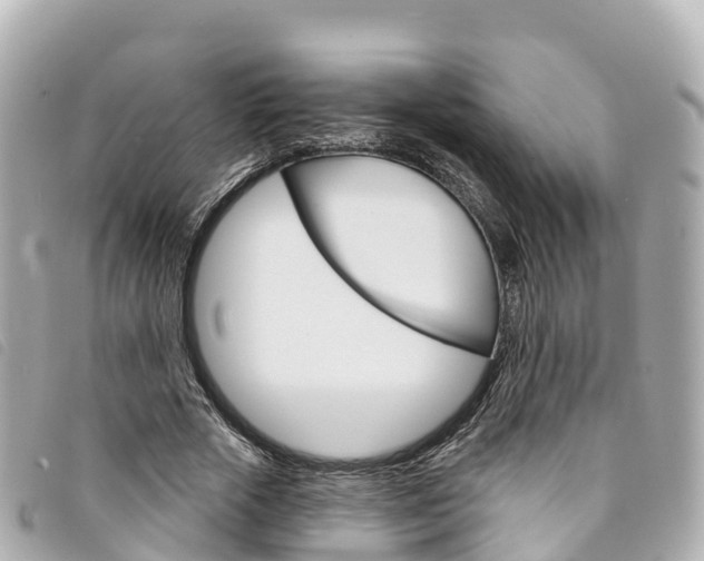 X0000094230729200710261013