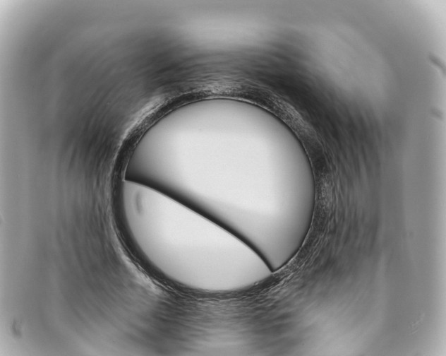 X0000094230730200710261013