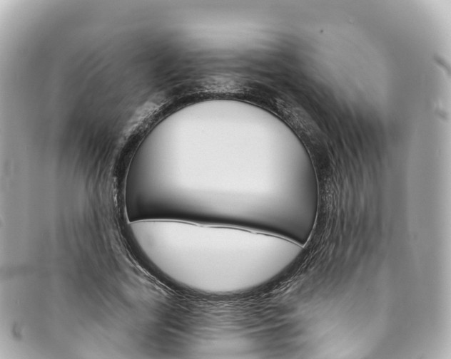 X0000094230731200710261013
