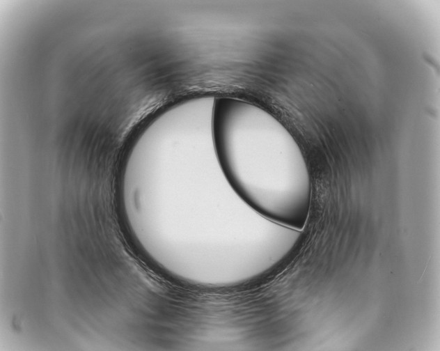 X0000094230735200710261013