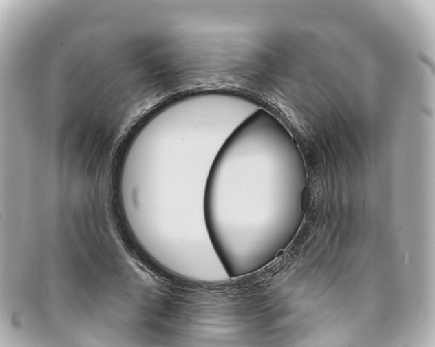 X0000094230736200710261013