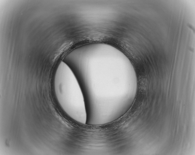 X0000094230738200710261013