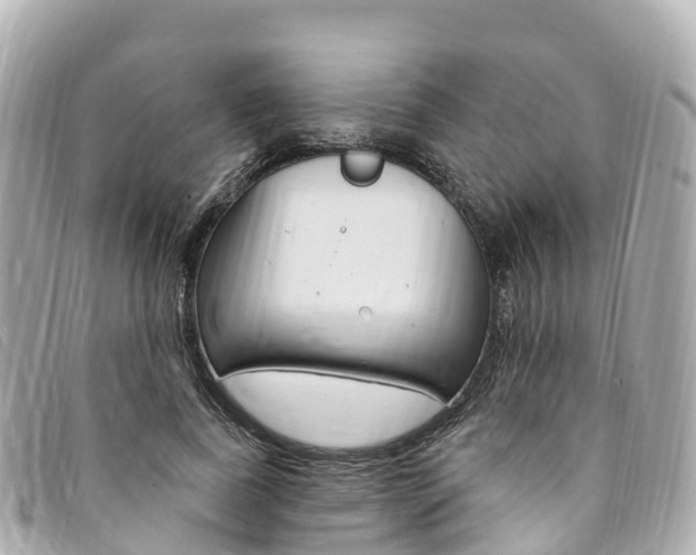 X0000094230739200710261013