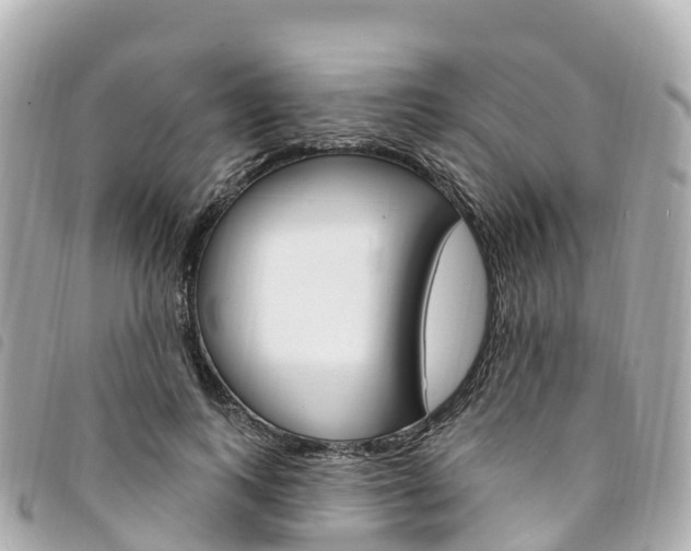 X0000094230743200710261013