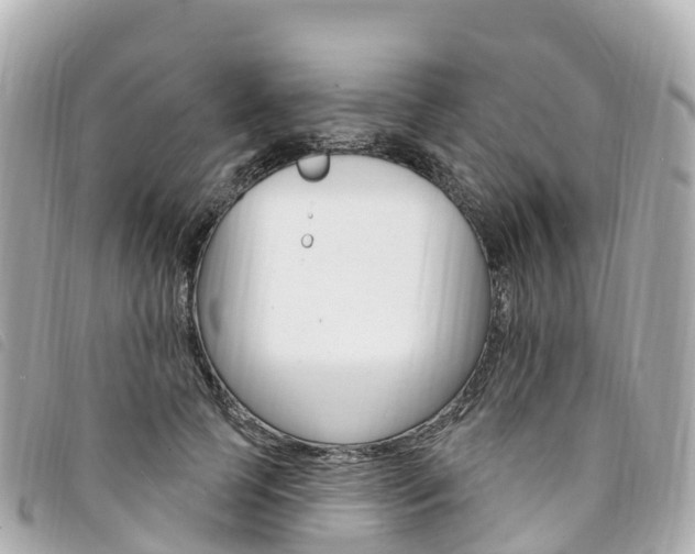 X0000094230745200710261013