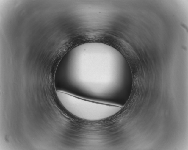 X0000094230752200710261013