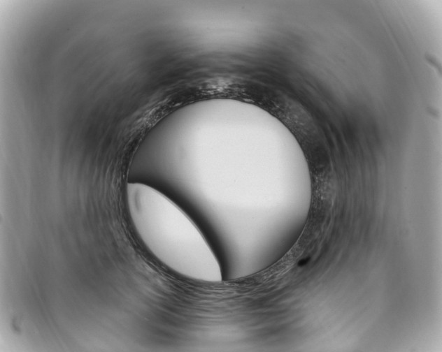 X0000094230754200710261013