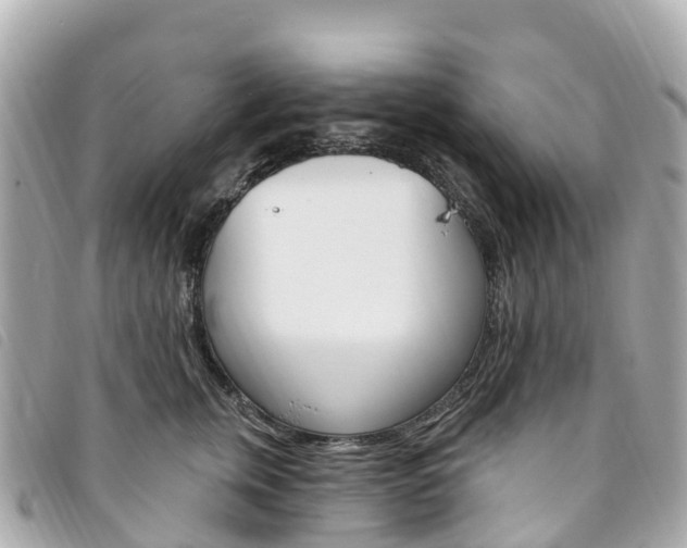 X0000094230759200710261013