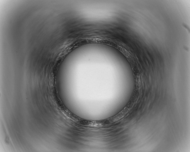 X0000094230760200710261013