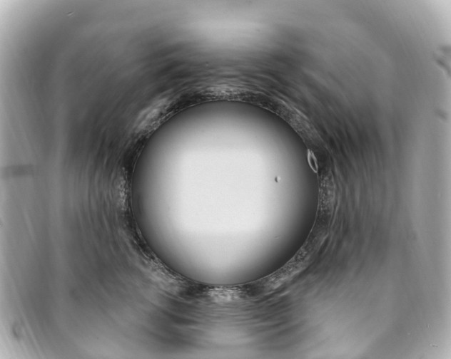 X0000094230762200710261013
