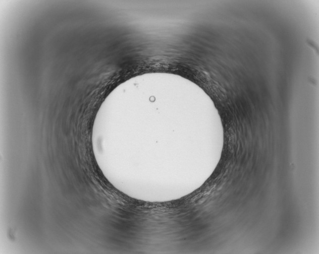X0000094230769200710261013