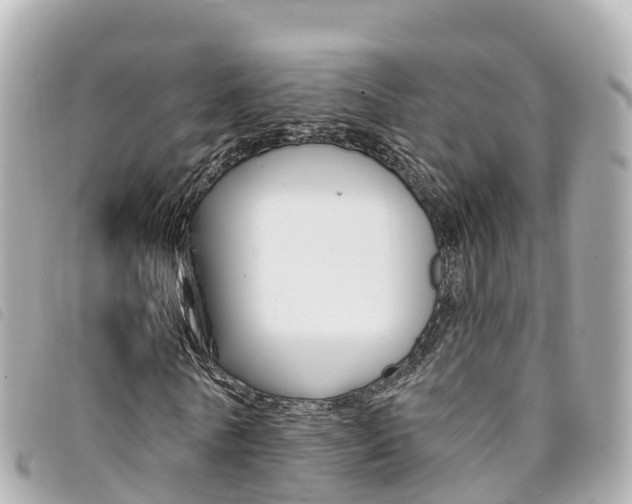 X0000094230770200710261013
