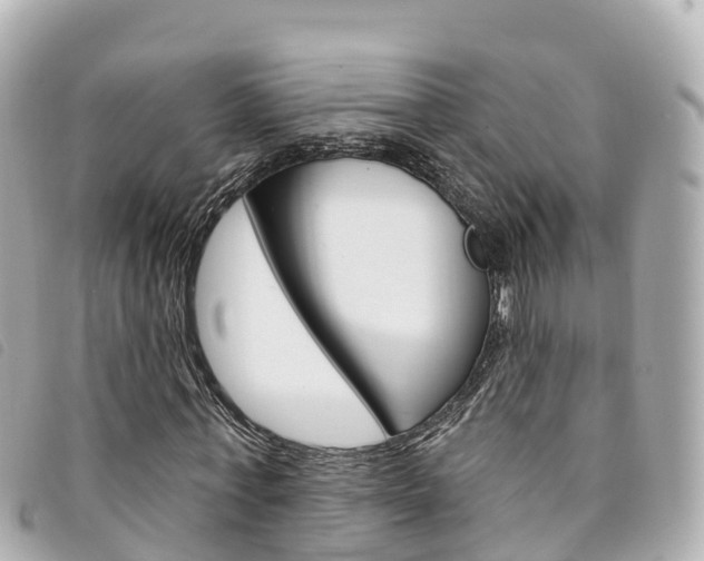 X0000094230771200710261013