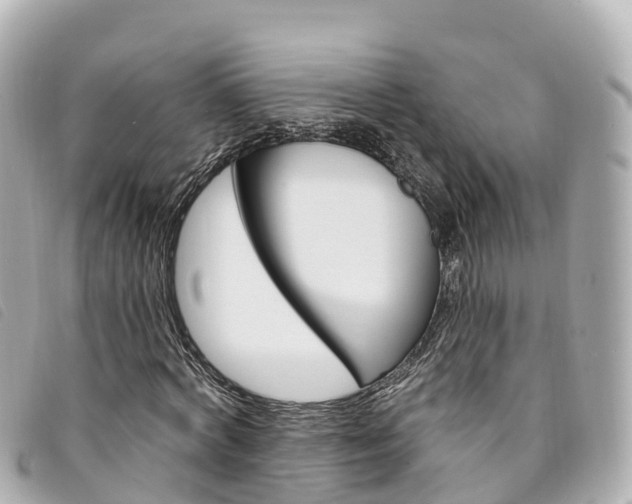 X0000094230772200710261013