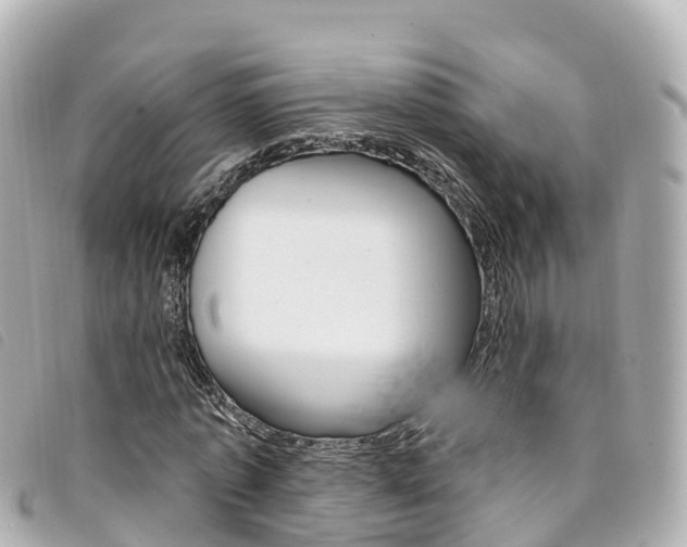 X0000094230773200710261013