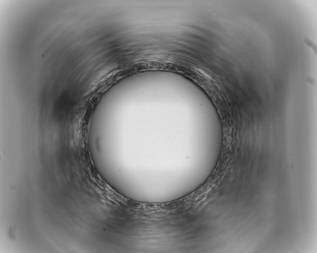 X0000094230774200710261013