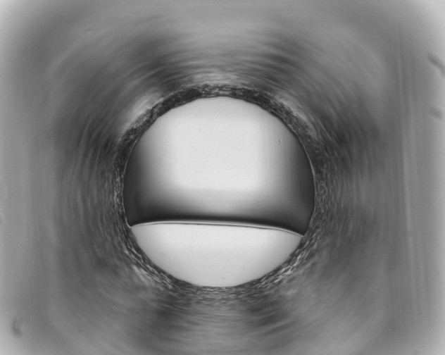 X0000094230775200710261013