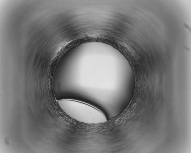 X0000094230776200710261013