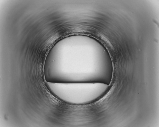 X0000094230777200710261013