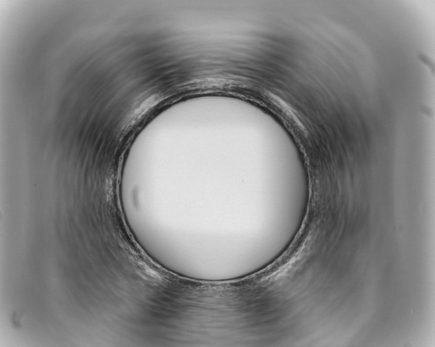 X0000094230778200710261013