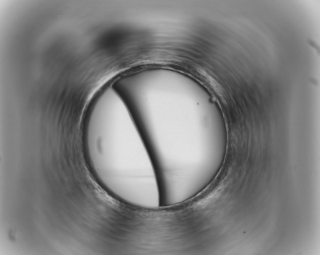 X0000094230779200710261013