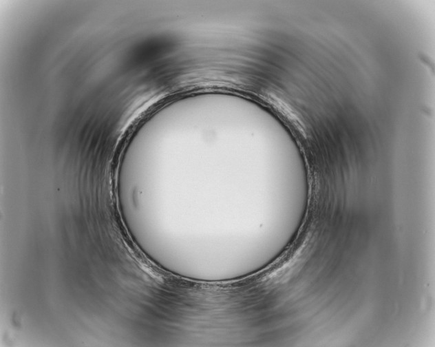 X0000094230782200710261013