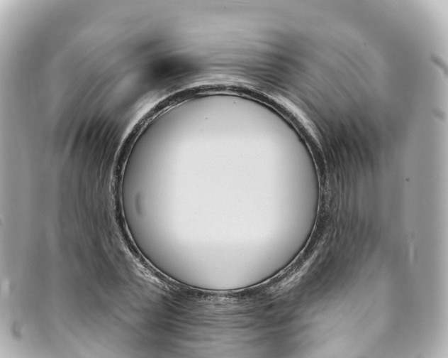X0000094230783200710261013