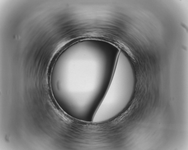 X0000094230784200710261013