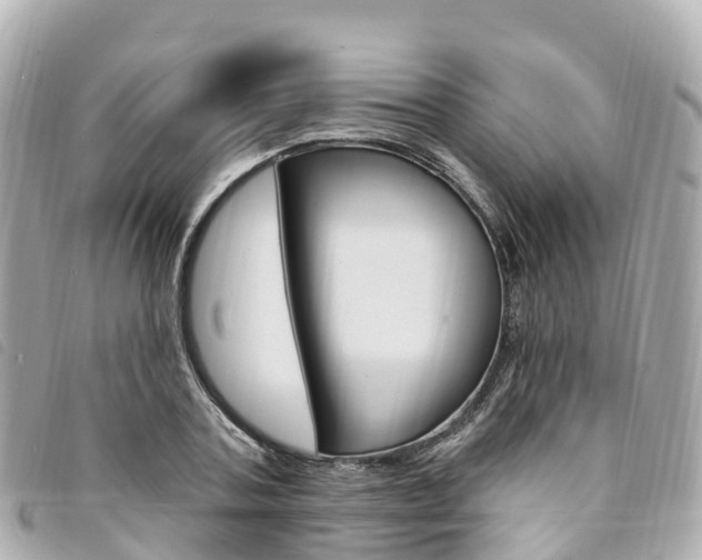 X0000094230787200710261013
