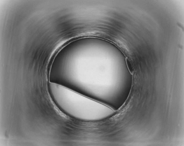 X0000094230792200710261013