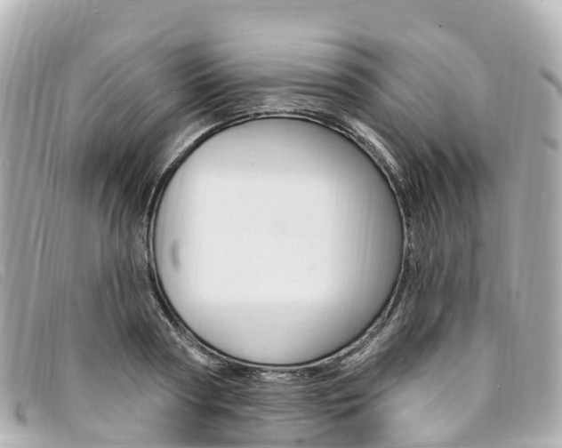 X0000094230794200710261013