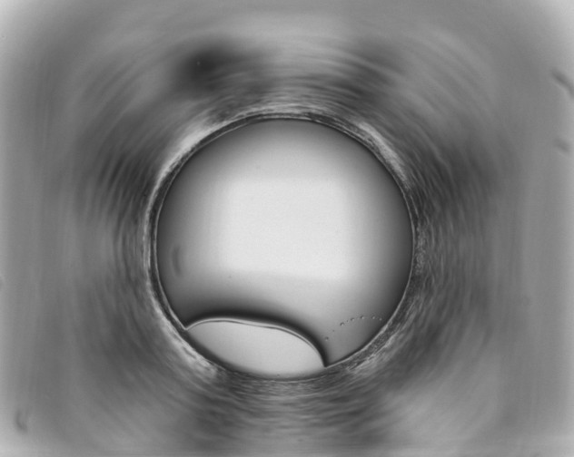 X0000094230795200710261013