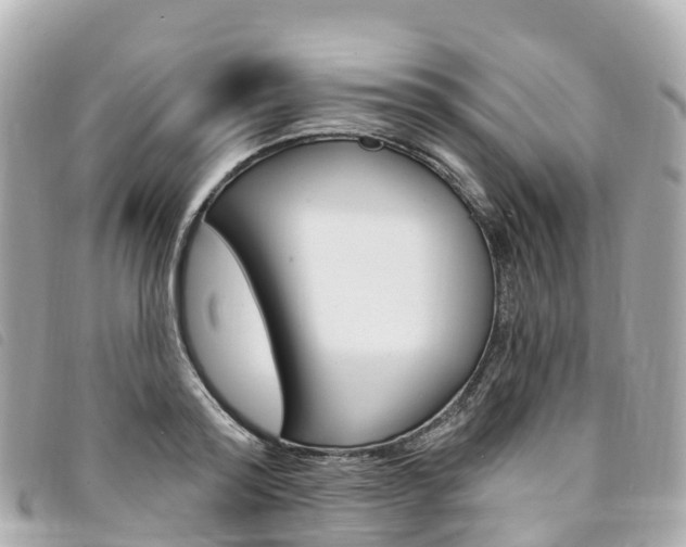 X0000094230796200710261013