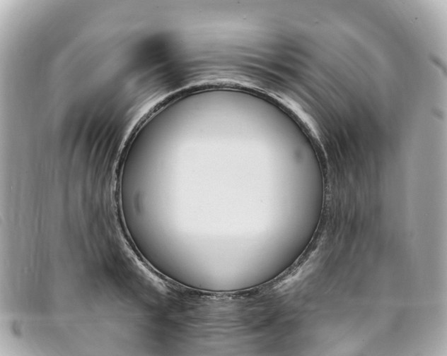 X0000094230799200710261013