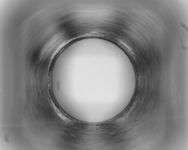 X0000094230800200710261013