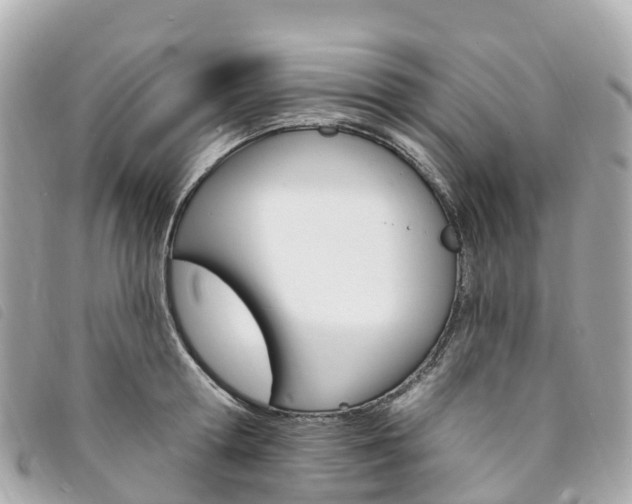 X0000094230802200710261013