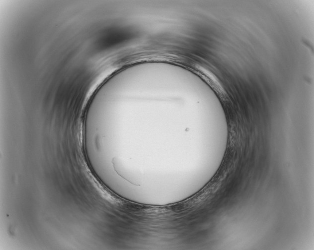 X0000094230804200710261012