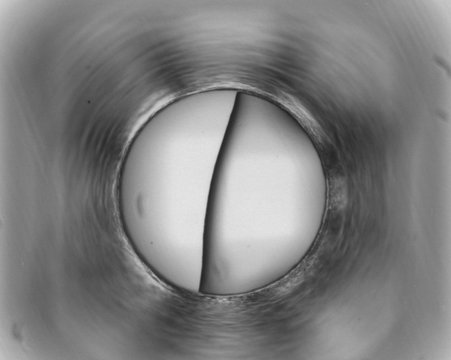 X0000094230806200710261012