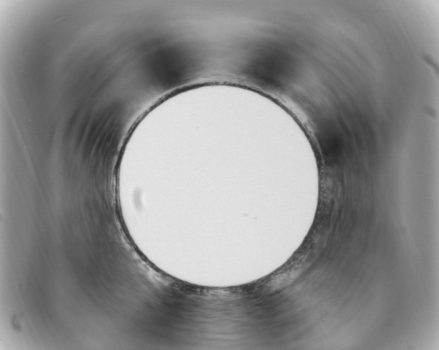 X0000094230807200710261012