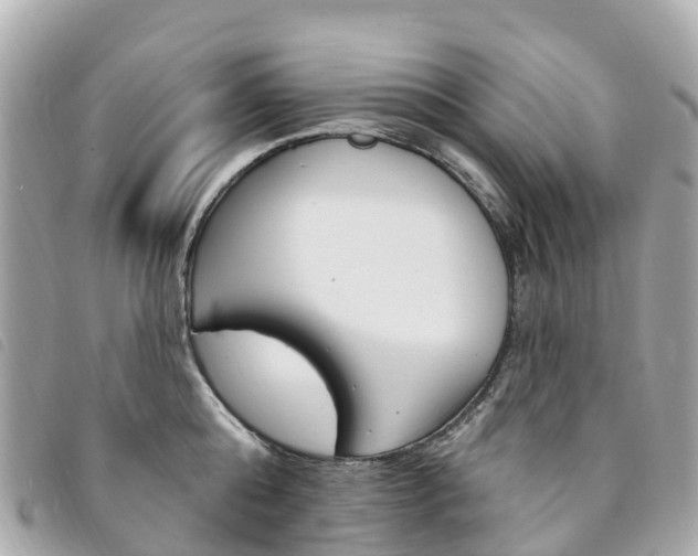 X0000094230808200710261012