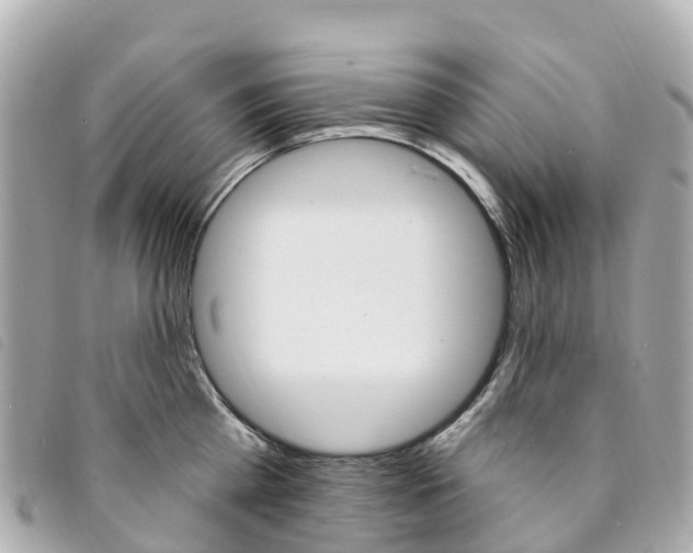X0000094230809200710261012