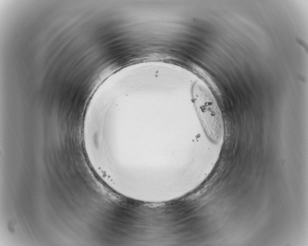X0000094230810200710261012