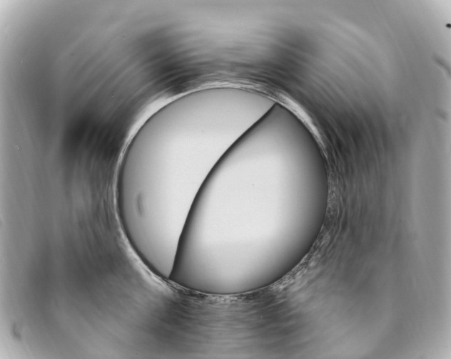 X0000094230811200710261012