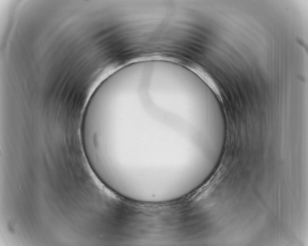 X0000094230813200710261012