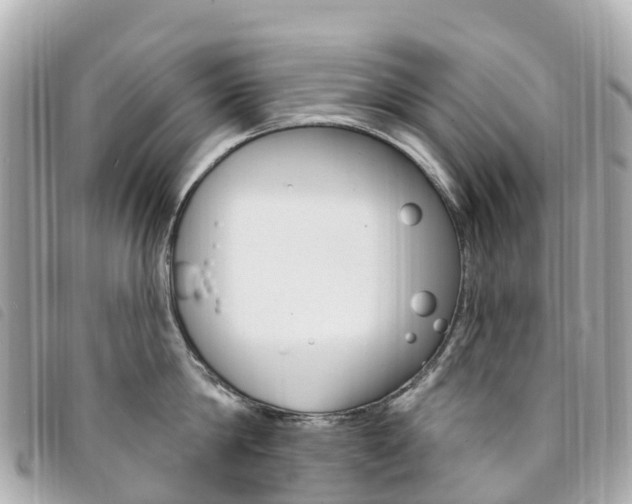 X0000094230814200710261012