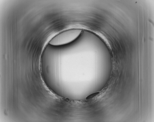 X0000094230815200710261012
