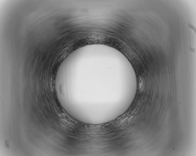 X0000094230819200710261012