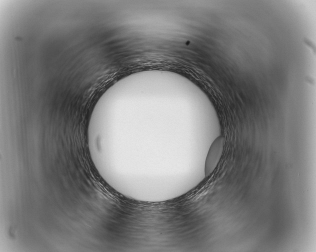 X0000094230820200710261012