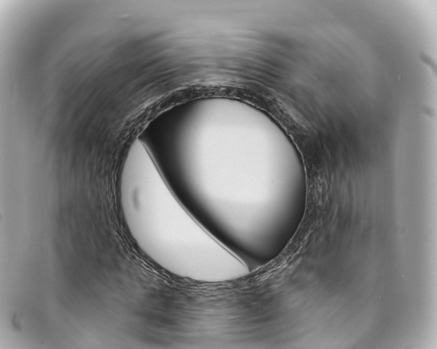 X0000094230821200710261012