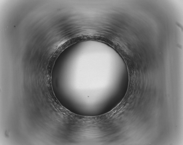 X0000094230822200710261012